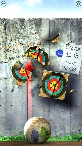 Can Knockdown 2